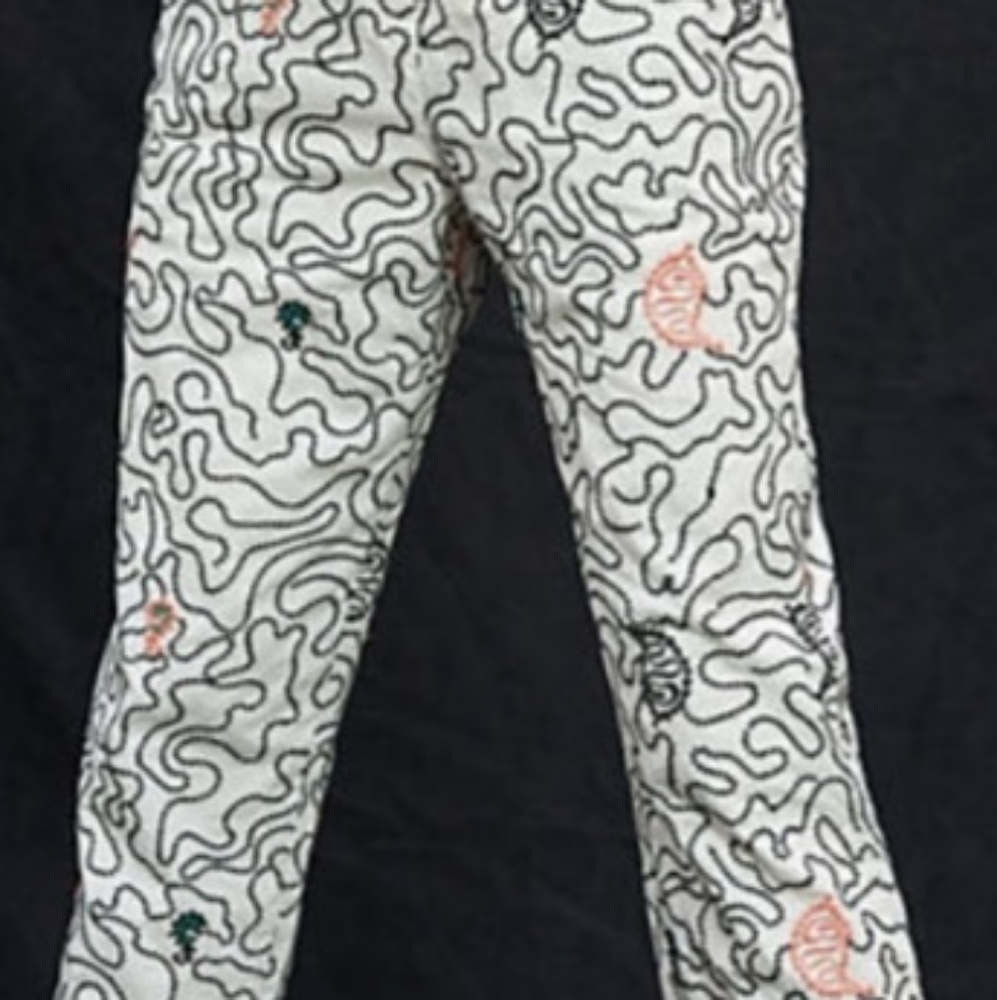 Embroidered Pants - Picture 2 of 2